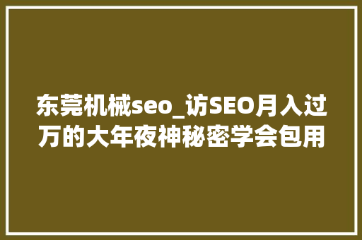 东莞机械seo_访SEO月入过万的大年夜神秘密学会包用生平