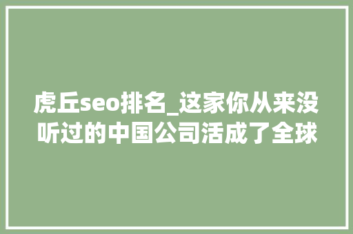 虎丘seo排名_这家你从来没听过的中国公司活成了全球时尚顶流 虎丘seo排名_这家你从来没听过的中国公司活成了全球时尚顶流 网站建设公司