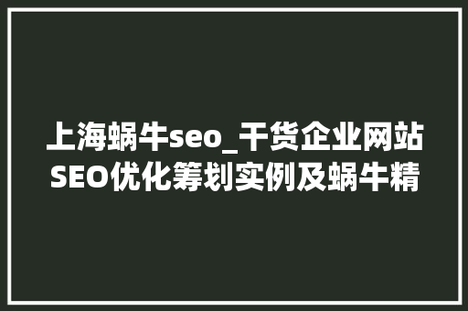 上海蜗牛seo_干货企业网站SEO优化筹划实例及蜗牛精灵软件的运用 上海蜗牛seo_干货企业网站SEO优化筹划实例及蜗牛精灵软件的运用 必应SEO