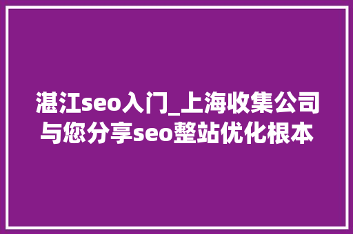 湛江seo入门_上海收集公司与您分享seo整站优化根本常识