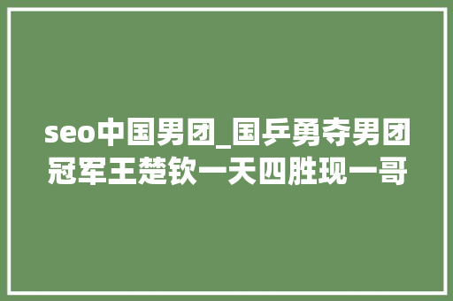 seo中国男团_国乒勇夺男团冠军王楚钦一天四胜现一哥风姿王皓风评远超马琳 seo中国男团_国乒勇夺男团冠军王楚钦一天四胜现一哥风姿王皓风评远超马琳 必应SEO