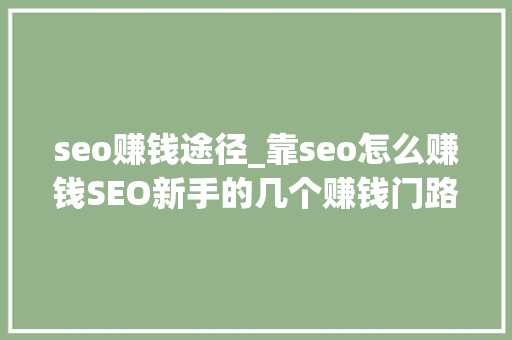 seo赚钱途径_靠seo怎么赚钱SEO新手的几个赚钱门路 seo赚钱途径_靠seo怎么赚钱SEO新手的几个赚钱门路 SEO关键词