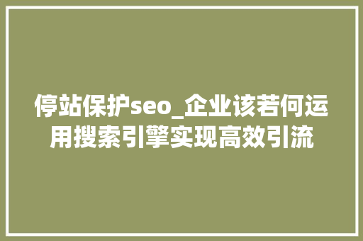 停站保护seo_企业该若何运用搜索引擎实现高效引流 停站保护seo_企业该若何运用搜索引擎实现高效引流 必应SEO