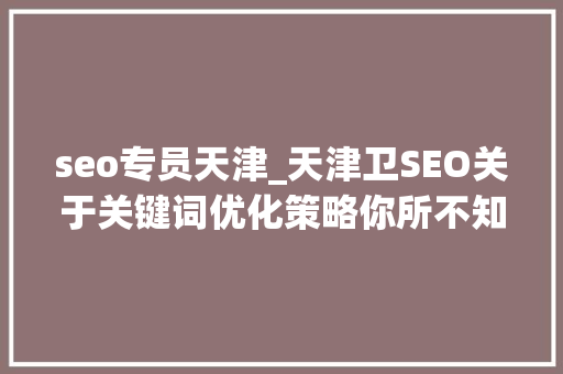 seo专员天津_天津卫SEO关于关键词优化策略你所不知道的那些事 seo专员天津_天津卫SEO关于关键词优化策略你所不知道的那些事 网站建设公司