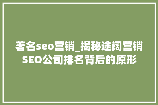 著名seo营销_揭秘途阔营销SEO公司排名背后的原形 著名seo营销_揭秘途阔营销SEO公司排名背后的原形 百度SEO