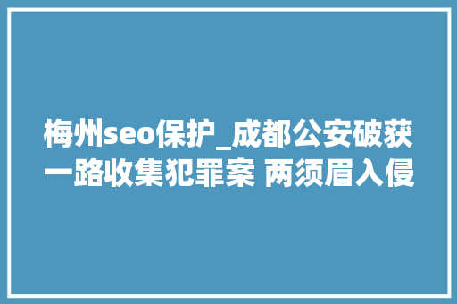 梅州seo保护_成都公安破获一路收集犯罪案 两须眉入侵目标网站被挡获