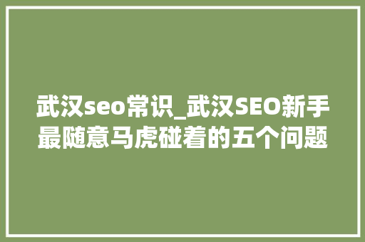 武汉seo常识_武汉SEO新手最随意马虎碰着的五个问题 武汉seo常识_武汉SEO新手最随意马虎碰着的五个问题 网站建设公司