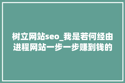 树立网站seo_我是若何经由进程网站一步一步赚到钱的附实战做网站方法和技巧 树立网站seo_我是若何经由进程网站一步一步赚到钱的附实战做网站方法和技巧 网站建设公司