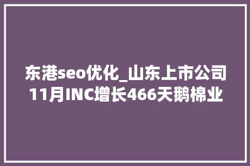 东港seo优化_山东上市公司11月INC增长466天鹅棉业跃升152位