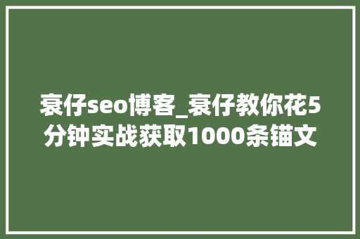 衰仔seo博客_衰仔教你花5分钟实战获取1000条锚文本外链技巧
