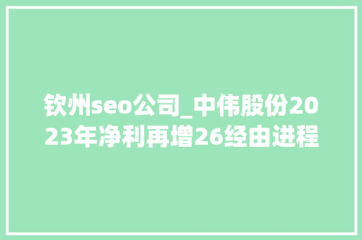 钦州seo公司_中伟股份2023年净利再增26经由进程年报拆解前驱体龙头的增长逻辑｜看财报