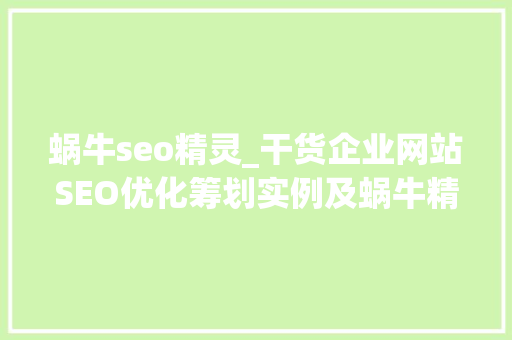 蜗牛seo精灵_干货企业网站SEO优化筹划实例及蜗牛精灵软件的运用 蜗牛seo精灵_干货企业网站SEO优化筹划实例及蜗牛精灵软件的运用 网站建设公司