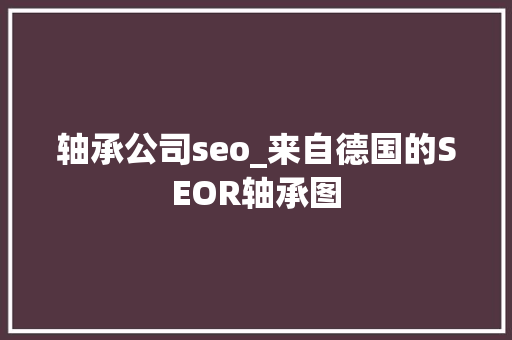轴承公司seo_来自德国的SEOR轴承图 轴承公司seo_来自德国的SEOR轴承图 百度SEO