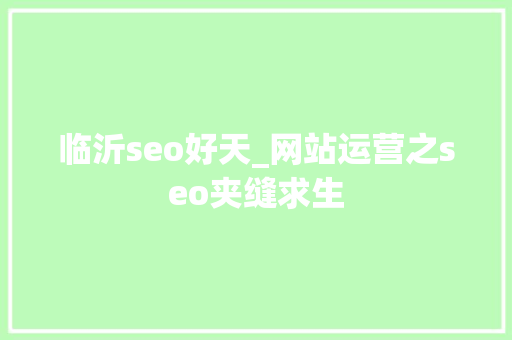 临沂seo好天_网站运营之seo夹缝求生