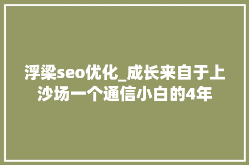 浮梁seo优化_成长来自于上沙场一个通信小白的4年