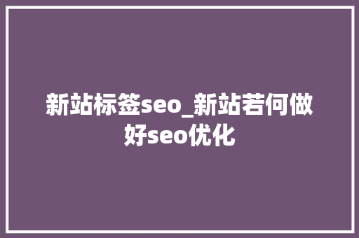 新站标签seo_新站若何做好seo优化 新站标签seo_新站若何做好seo优化 网站建设公司