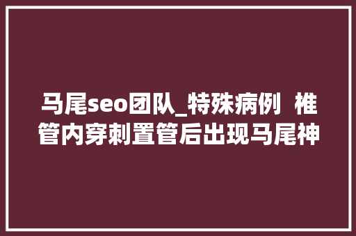 马尾seo团队_特殊病例  椎管内穿刺置管后出现马尾神经综合征最终查出了室管膜瘤 马尾seo团队_特殊病例  椎管内穿刺置管后出现马尾神经综合征最终查出了室管膜瘤 神马SEO