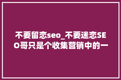 不要留恋seo_不要迷恋SEO哥只是个收集营销中的一个对象