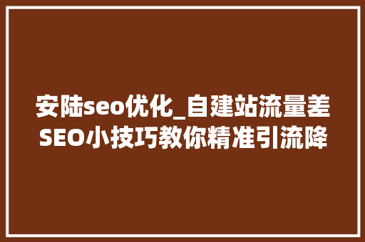安陆seo优化_自建站流量差SEO小技巧教你精准引流降低跳出率 安陆seo优化_自建站流量差SEO小技巧教你精准引流降低跳出率 网站建设公司