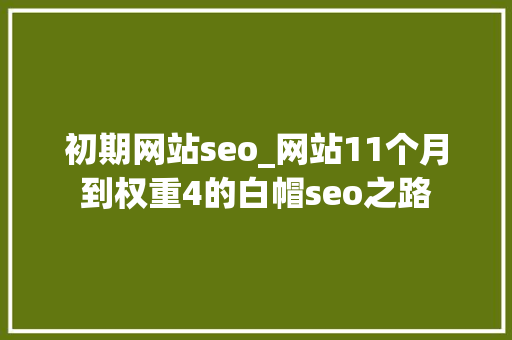 初期网站seo_网站11个月到权重4的白帽seo之路 初期网站seo_网站11个月到权重4的白帽seo之路 网站建设公司