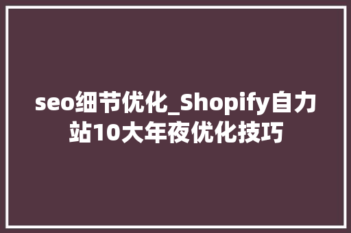 seo细节优化_Shopify自力站10大年夜优化技巧 seo细节优化_Shopify自力站10大年夜优化技巧 百度SEO