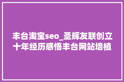 丰台淘宝seo_圣辉友联创立十年经历感悟丰台网站培植公司 丰台淘宝seo_圣辉友联创立十年经历感悟丰台网站培植公司 SEO关键词