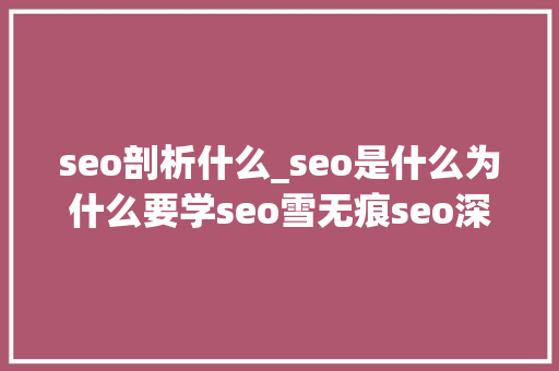 seo剖析什么_seo是什么为什么要学seo雪无痕seo深度解析 seo剖析什么_seo是什么为什么要学seo雪无痕seo深度解析 网站建设公司