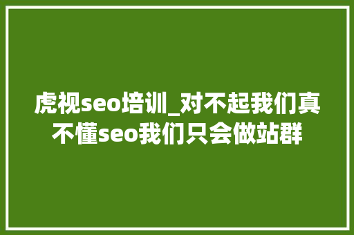 虎视seo培训_对不起我们真不懂seo我们只会做站群 虎视seo培训_对不起我们真不懂seo我们只会做站群 百度SEO