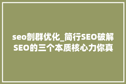 seo剖群优化_简行SEO破解SEO的三个本质核心力你真的懂SEO吗 seo剖群优化_简行SEO破解SEO的三个本质核心力你真的懂SEO吗 必应SEO