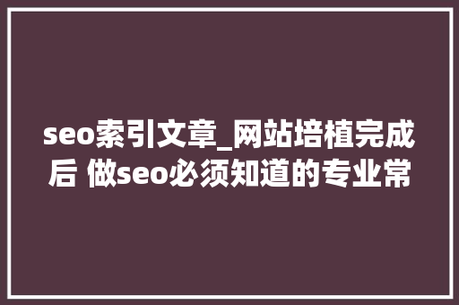 seo索引文章_网站培植完成后 做seo必须知道的专业常识之索引 seo索引文章_网站培植完成后 做seo必须知道的专业常识之索引 搜狗SEO