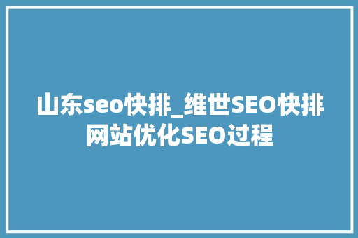 山东seo快排_维世SEO快排网站优化SEO过程