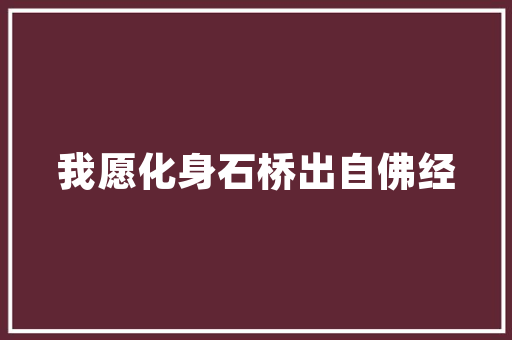 璧山seo若何_站长最常见13个问题 璧山seo若何_站长最常见13个问题 网站建设公司
