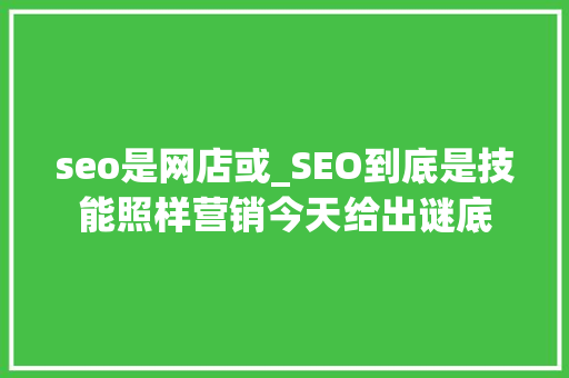 seo是网店或_SEO到底是技能照样营销今天给出谜底 seo是网店或_SEO到底是技能照样营销今天给出谜底 SEO关键词