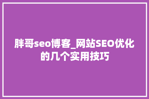 胖哥seo博客_网站SEO优化的几个实用技巧 胖哥seo博客_网站SEO优化的几个实用技巧 SEO关键词