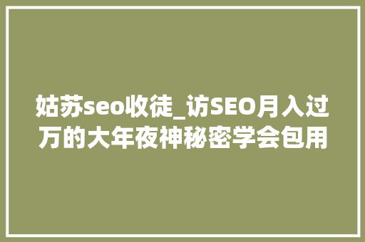 姑苏seo收徒_访SEO月入过万的大年夜神秘密学会包用生平 姑苏seo收徒_访SEO月入过万的大年夜神秘密学会包用生平 网站建设公司