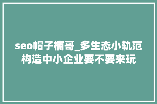 seo帽子楠哥_多生态小轨范构造中小企业要不要来玩 seo帽子楠哥_多生态小轨范构造中小企业要不要来玩 必应SEO