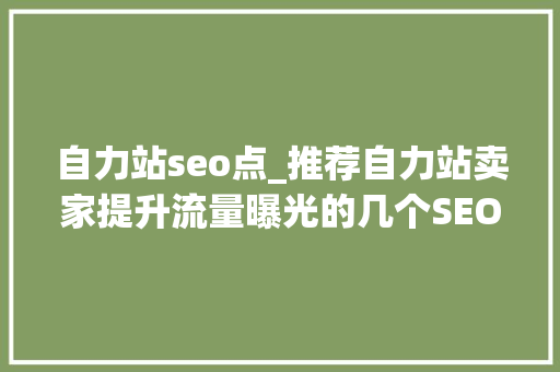 自力站seo点_推荐自力站卖家提升流量曝光的几个SEO对象 自力站seo点_推荐自力站卖家提升流量曝光的几个SEO对象 网站建设公司