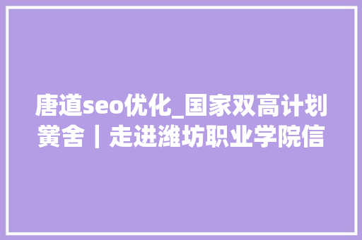 唐道seo优化_国家双高计划黉舍｜走进潍坊职业学院信息工程学院 唐道seo优化_国家双高计划黉舍｜走进潍坊职业学院信息工程学院 网站建设公司