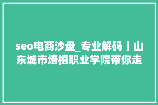 seo电商沙盘_专业解码｜山东城市培植职业学院带你走进电子商务专业 seo电商沙盘_专业解码｜山东城市培植职业学院带你走进电子商务专业 搜狗SEO