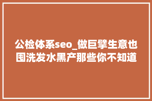 公检体系seo_做巨擘生意也囤洗发水黑产那些你不知道的那些事 公检体系seo_做巨擘生意也囤洗发水黑产那些你不知道的那些事 百度SEO