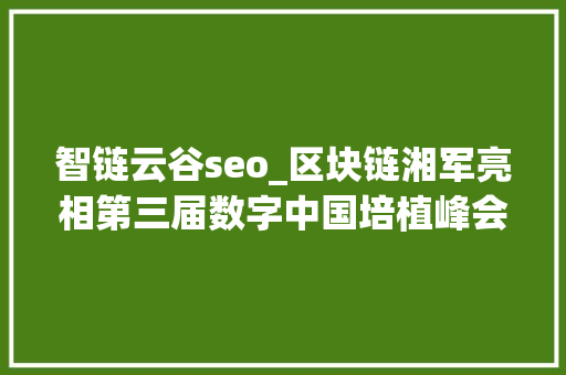 智链云谷seo_区块链湘军亮相第三届数字中国培植峰会 智链云谷seo_区块链湘军亮相第三届数字中国培植峰会 网站建设公司