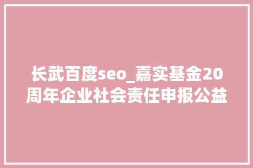 长武百度seo_嘉实基金20周年企业社会责任申报公益慈善精华版
