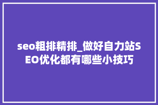 seo粗排精排_做好自力站SEO优化都有哪些小技巧 seo粗排精排_做好自力站SEO优化都有哪些小技巧 必应SEO