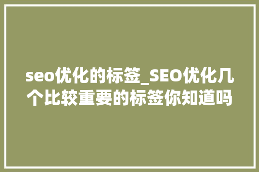 seo优化的标签_SEO优化几个比较重要的标签你知道吗 seo优化的标签_SEO优化几个比较重要的标签你知道吗 网站建设公司