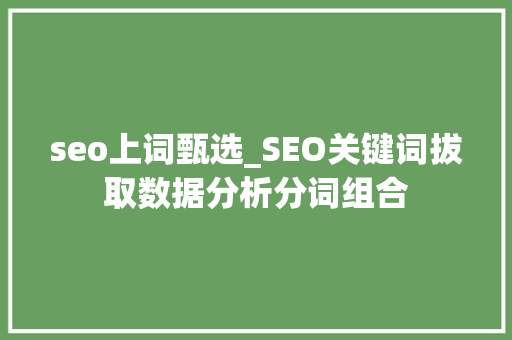 seo上词甄选_SEO关键词拔取数据分析分词组合 seo上词甄选_SEO关键词拔取数据分析分词组合 网站建设公司
