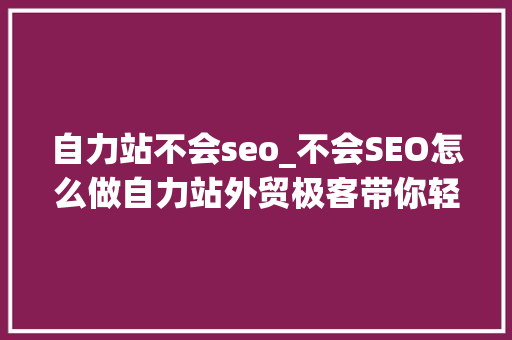 自力站不会seo_不会SEO怎么做自力站外贸极客带你轻松实现自力站SEO零根本打破 自力站不会seo_不会SEO怎么做自力站外贸极客带你轻松实现自力站SEO零根本打破 必应SEO