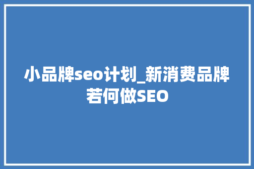 小品牌seo计划_新消费品牌若何做SEO 小品牌seo计划_新消费品牌若何做SEO SEO关键词