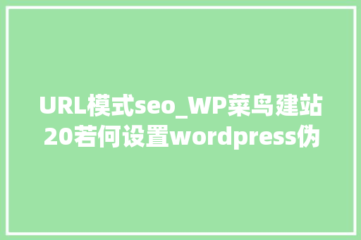 URL模式seo_WP菜鸟建站20若何设置wordpress伪静态来做好网站URL优化 URL模式seo_WP菜鸟建站20若何设置wordpress伪静态来做好网站URL优化 百度SEO