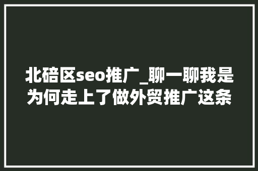 北碚区seo推广_聊一聊我是为何走上了做外贸推广这条路的