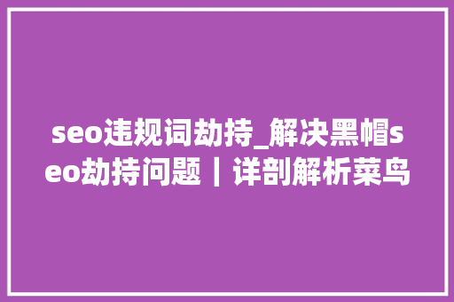 seo违规词劫持_解决黑帽seo劫持问题｜详剖解析菜鸟都看得懂的内容 seo违规词劫持_解决黑帽seo劫持问题｜详剖解析菜鸟都看得懂的内容 网站建设公司